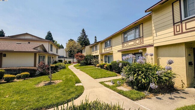 Building Photo - 34114 Chamberlain Terrace
