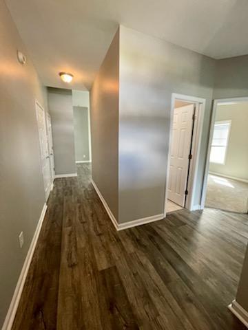 Building Photo - 2052 Gray Goose Loop