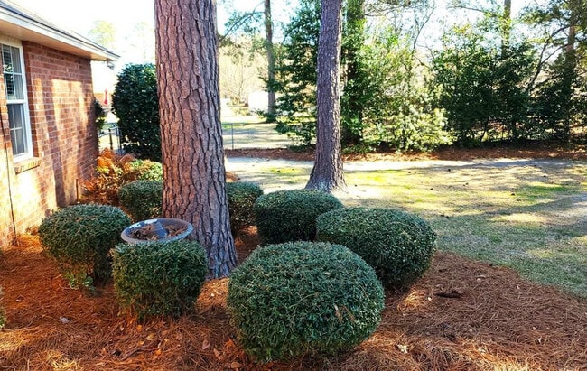 Building Photo - 1450 Morris Way Dr
