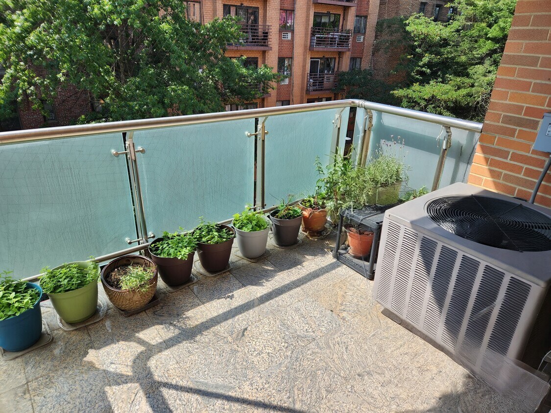 Foto principal - 8510 Elmhurst Ave