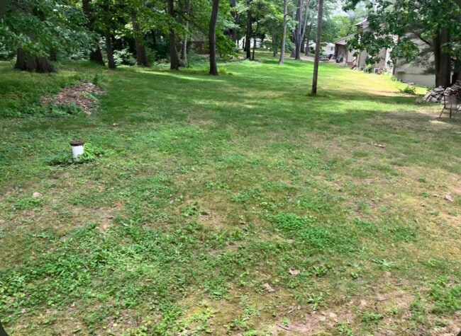 Building Photo - 636 Portage Lakes Dr