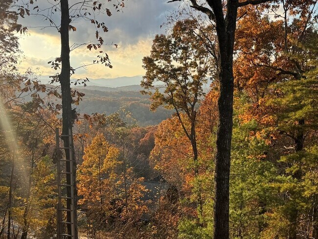 Foto del edificio - 664 Fox Run Dr