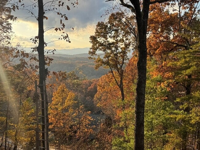 Photo - 664 Fox Run Dr House