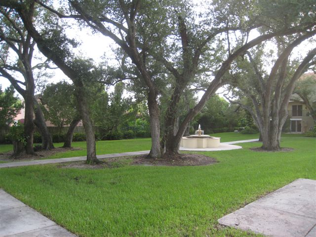 view from balcony - 8920 NE 8th Ave