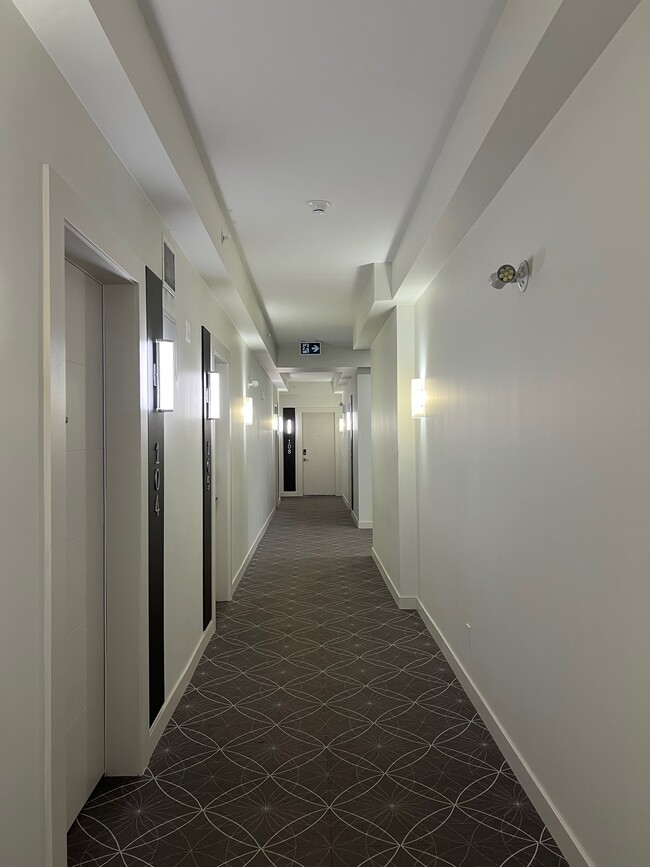 Apartment Hallway - 11329 University Av NW