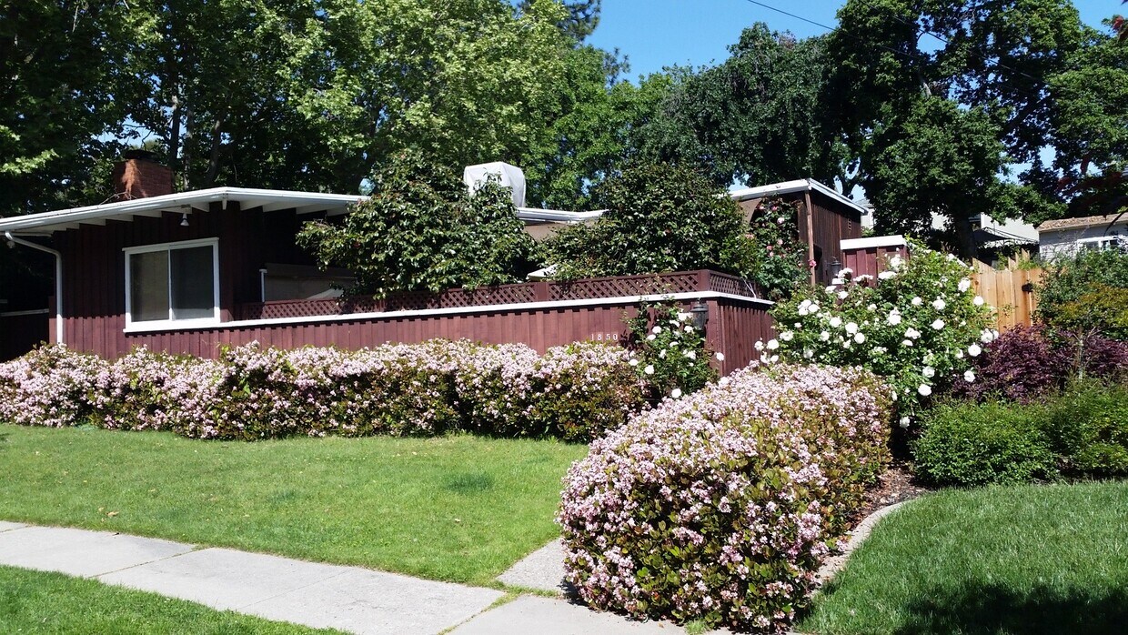 Spring blossoms - 1850 Shuey Ave