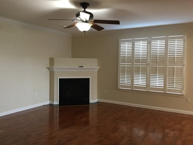 Foto del edificio - 204 Jessie Ln