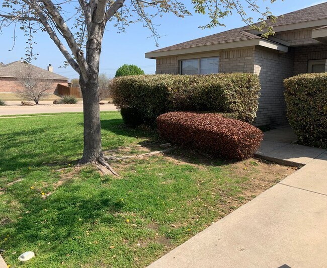 3312 Skelton St, Denton, TX 76207 House Rental in Denton, TX