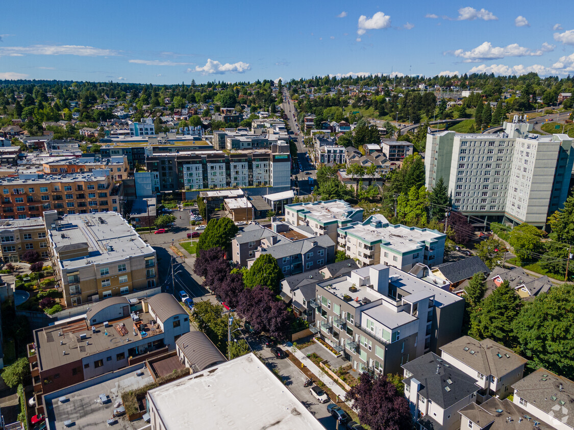 Aerial Photo - Canopy