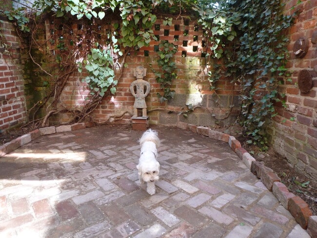 Walled private garden - 2704 N St NW