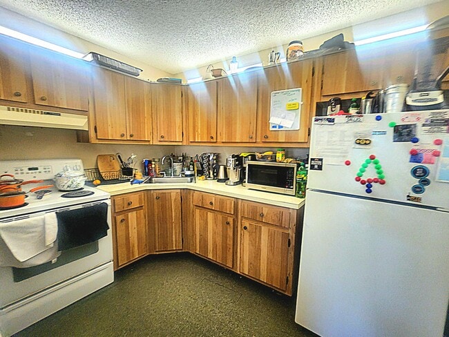 Foto del edificio - 310 Knotty Pine Cir