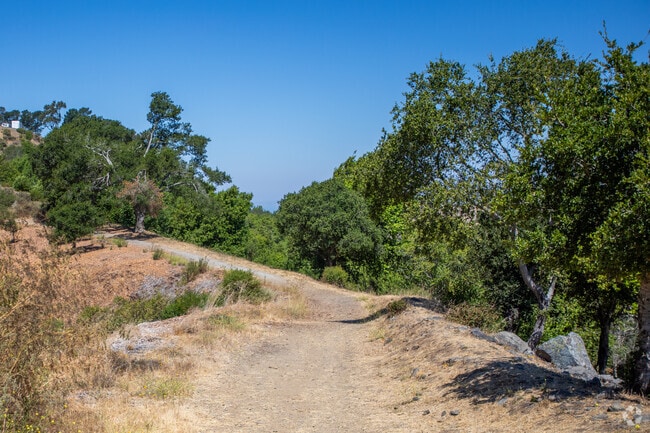 El Cerrito backs up against Wildcat Canyon and trails throughout San Pablo Ridge area.