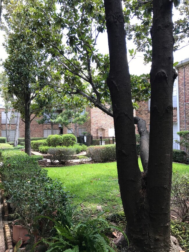 Building Photo - 2101 Fountain View Dr