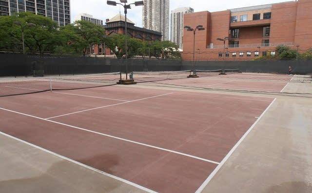 Foto del edificio - 1360 N Sandburg Terrace