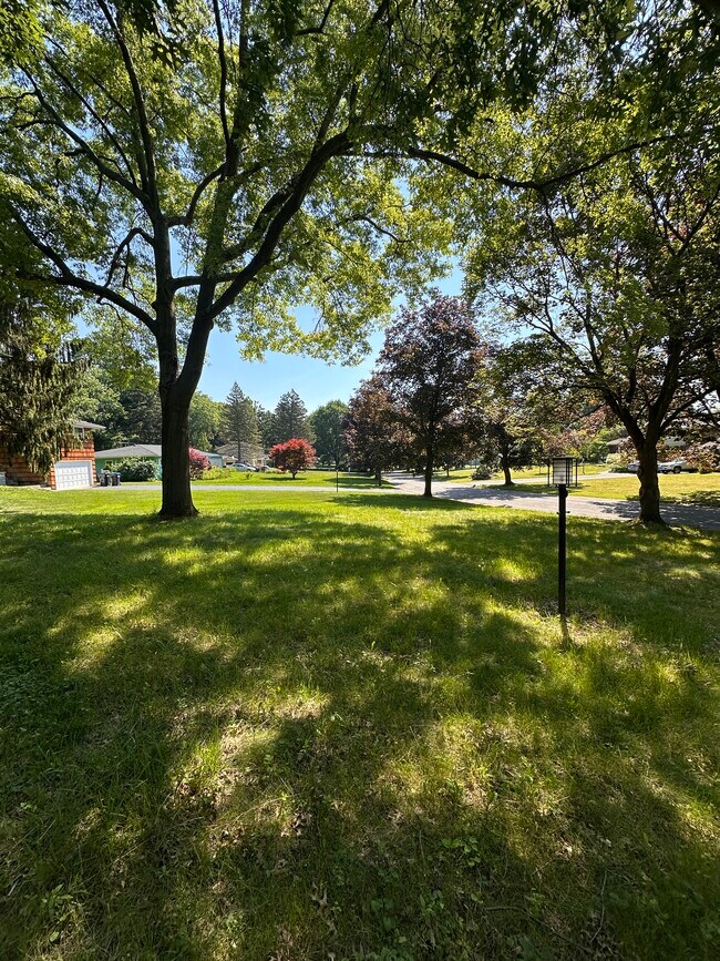 Foto del edificio - 9 Courtenay Cir