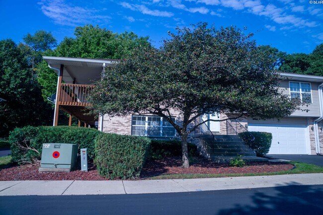 Building Photo - 955 Elderberry Cir