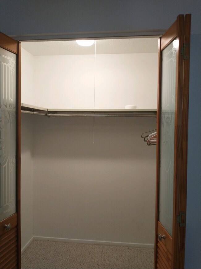 Walk in closet - 216 Moore Rd