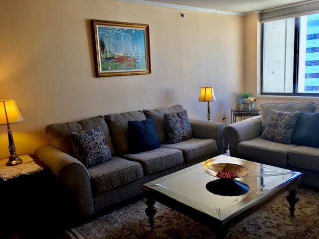 living room - 45 River Dr S