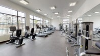 This single-level fitness center offers a comprehensive exercise environment designed to accommodate a wide range of workout routines. The space is generously sized, with high ceilings and bright white walls that contribute to an open, energizing atmosphere. Recessed and flush-mounted panel lighting supplements the abundant natural light streaming through large, black-framed windows that line multiple walls.

The cardio zone is well-stocked with a row of Cybex treadmills, upright and recumbent stationary bikes, and elliptical machines, many positioned directly in front of the oversized windows to provide views of an outdoor pool and surrounding residential buildings. The strength training area features a full lineup of Cybex selectorized machines targeting major muscle groups, along with a dedicated free weights section complete with a full dumbbell rack and adjustable benches. Full-length mirrors along one wall enhance the sense of depth and allow users to monitor their form.

The flooring throughout consists of durable rubber gym material, practical for both equipment placement and user safety. The layout is thoughtfully organized, offering clear separation between cardio and strength zones while maintaining an open, uncluttered feel. Entry and exit are provided through wood-framed glass doors.