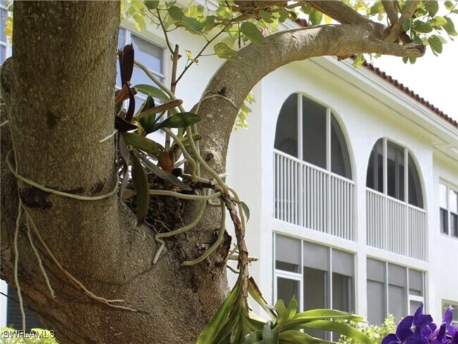 Foto del edificio - 1055 Forest Lakes Dr