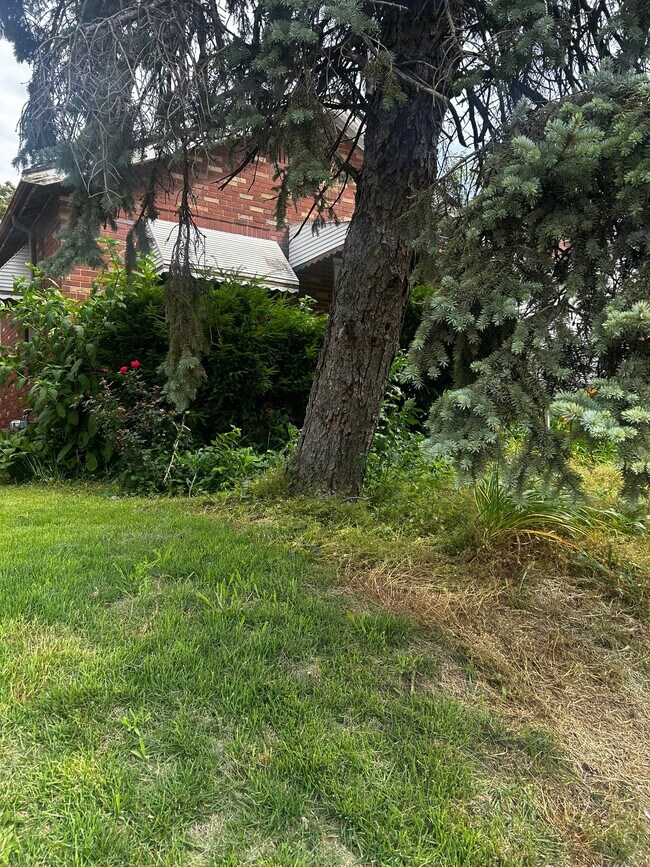 Foto del edificio - 4719 Plover Ave