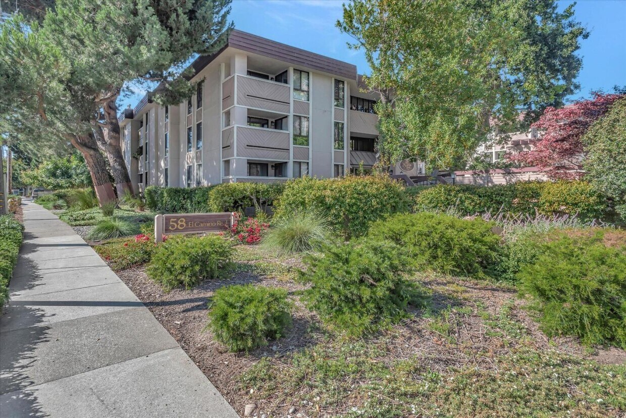 58 N El Camino Real, San Mateo, CA 94401 Condo for Rent in San Mateo