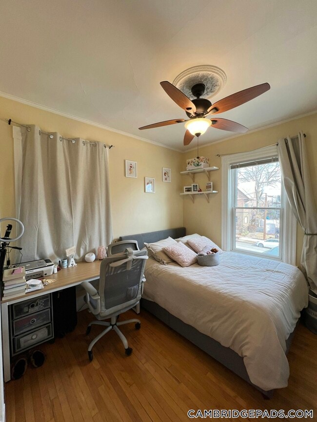 Building Photo - 176 Elm St