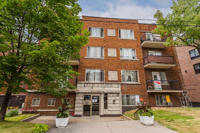 Building Photo - 4825 Ste-Catherine