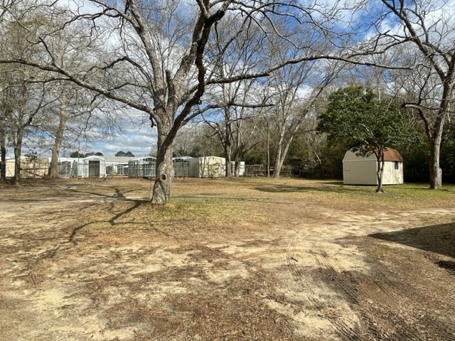 Building Photo - 603 Donovan St