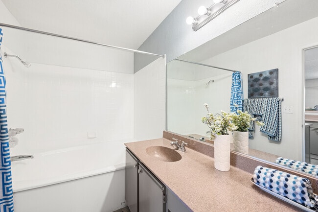 Studio - 400SF - Bathroom - Village Square