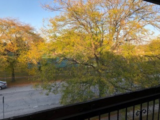 Balcony View - 4557 Imperial Dr