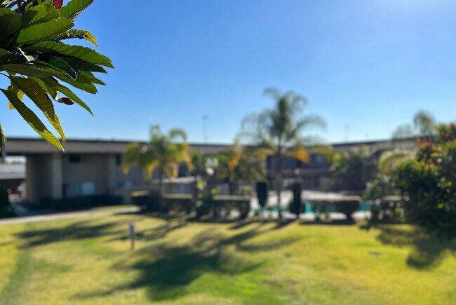 Foto del interior - Westgate Villa Apartments