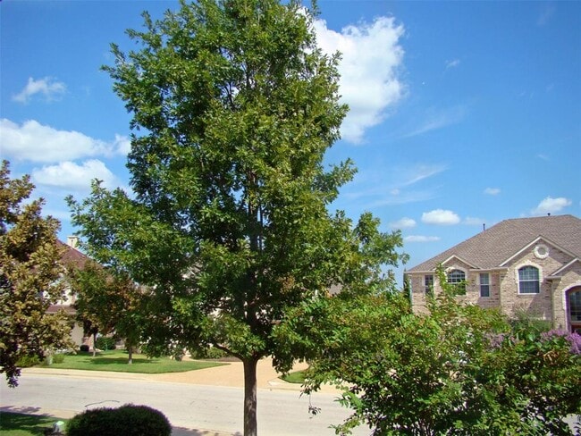 Building Photo - 10700 Pointe View Dr