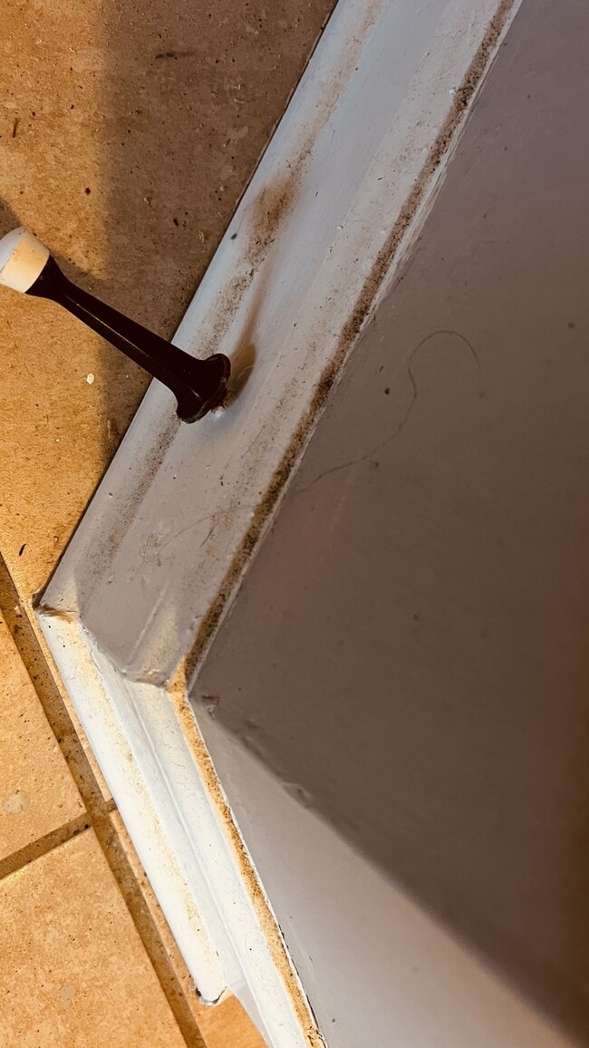 Building Photo - 116 Clearview Ct