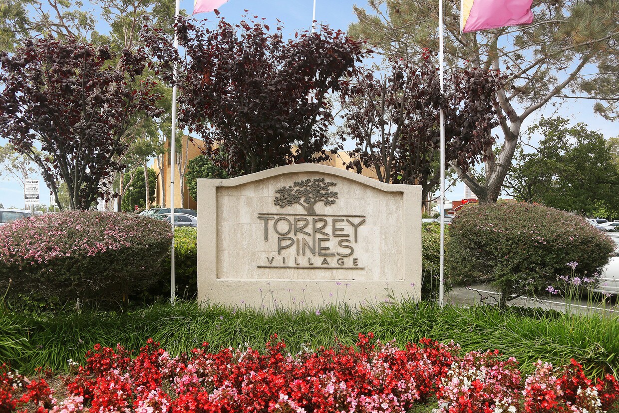 216 Apartments for Rent in La Jolla Utc, CA Westside Rentals