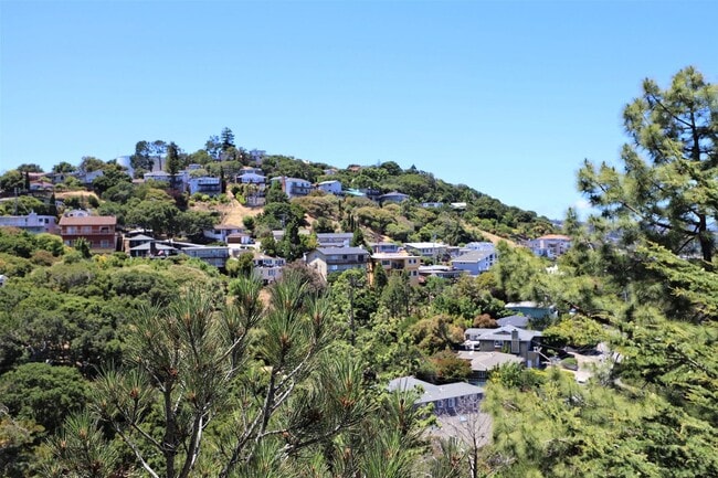 Building Photo - Stunning Mid-Century Modern 3 Bed/ 2 Bath ...