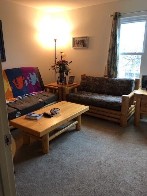 2nd BDRM hide-a-bed - 1602 Berry Rose Ct