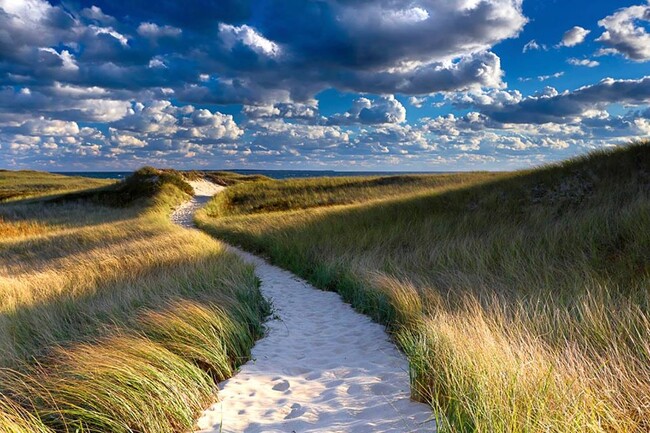 Foto del edificio - 599 Edgartown W Tisbury Rd