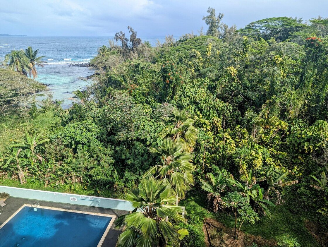 Primary Photo - 2BR/1BA Penthouse with ocean view