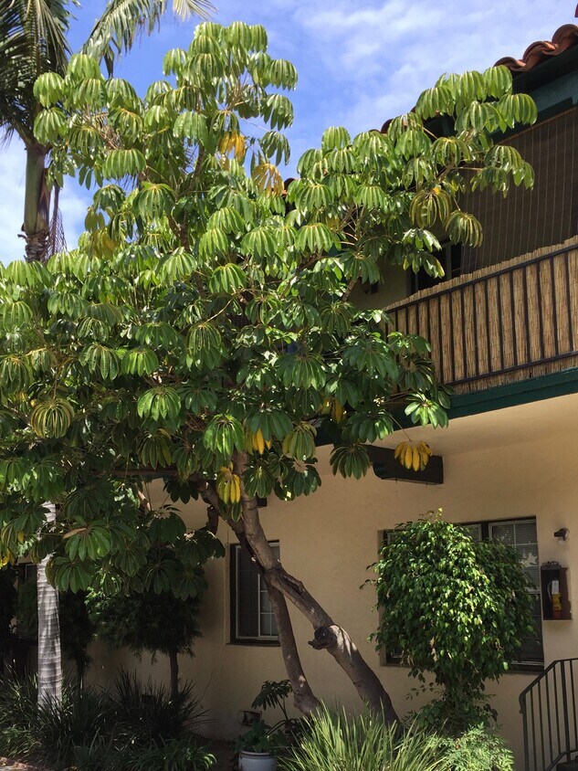 50 Apartments for Rent in Long Beach, CA Westside Rentals