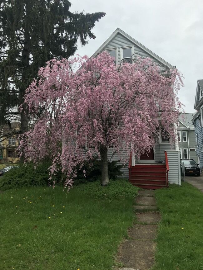 Foto del edificio - 1546 Delaware Ave