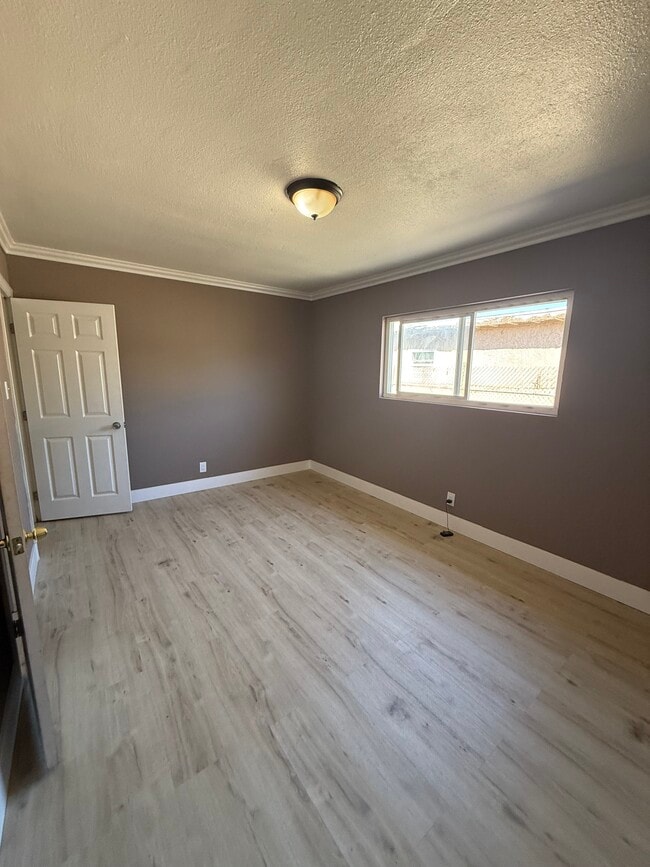 Photo - 1250 E 87th St House