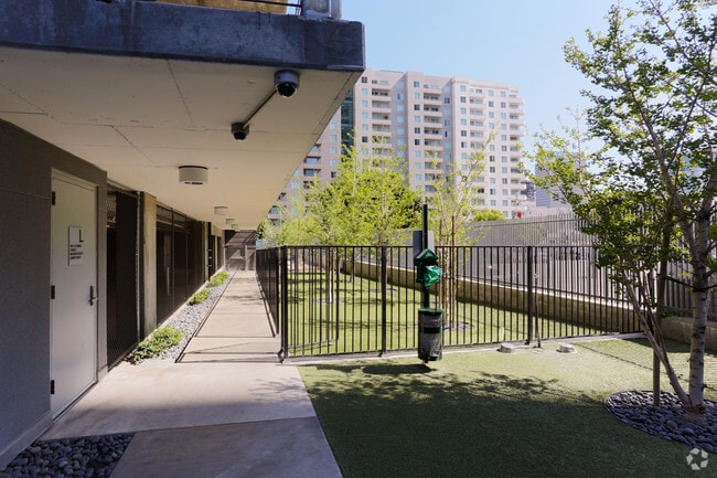 Parque para perros - Apex. The One.