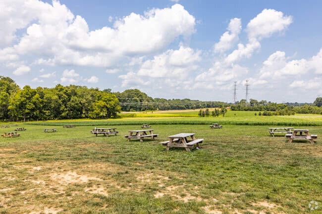 Olney's Lone Oak Farm Brewing Co paints the perfect setting for your Friday evening happy hour.