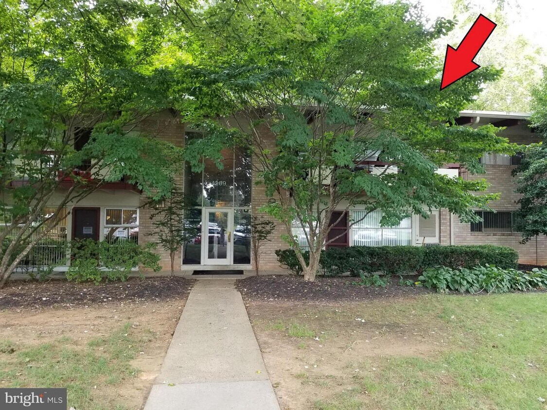 4209J Americana Dr Unit 204, Annandale, VA 22003 Condo for Rent in