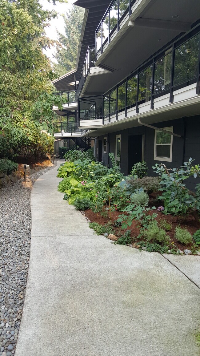 Lush landscaping and covered walkways - 520 4th St