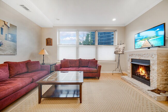 LIving Room - 1545 N Larrabee St
