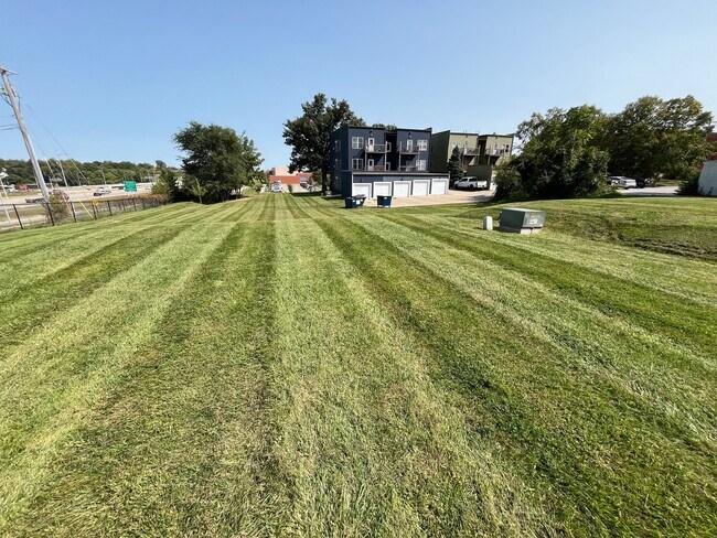 Large side and back yard - 1717 Olive Ave