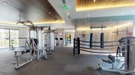 This expansive fitness center is designed to accommodate a wide range of workout preferences, combining high-end equipment with a polished, modern aesthetic. The space is divided into distinct functional zones, each thoughtfully appointed. The main strength and cardio area features a rich wood-paneled tray ceiling with warm ambient uplighting and recessed fixtures, creating an inviting atmosphere. Large floor-to-ceiling windows line the perimeter, flooding the space with natural light and offering views of surrounding greenery. Rubber flooring throughout provides durability and comfort underfoot.

The cardio zone is stocked with treadmills, stair climbers, and stationary bikes, while the strength area includes free weights, benches, cable machines, and Cybex selectorized equipment. A dedicated Peloton station offers connected cycling. A standout feature is the full boxing ring, framed by whitewashed brick columns and walls, complete with hanging heavy bags and speed bags — giving the space a dynamic, athletic-club character. An additional room with soft blue walls and wall-mounted artwork houses further strength machines and a flat-screen TV. An elevator provides convenient access. The overall ambiance blends upscale design with serious fitness functionality.