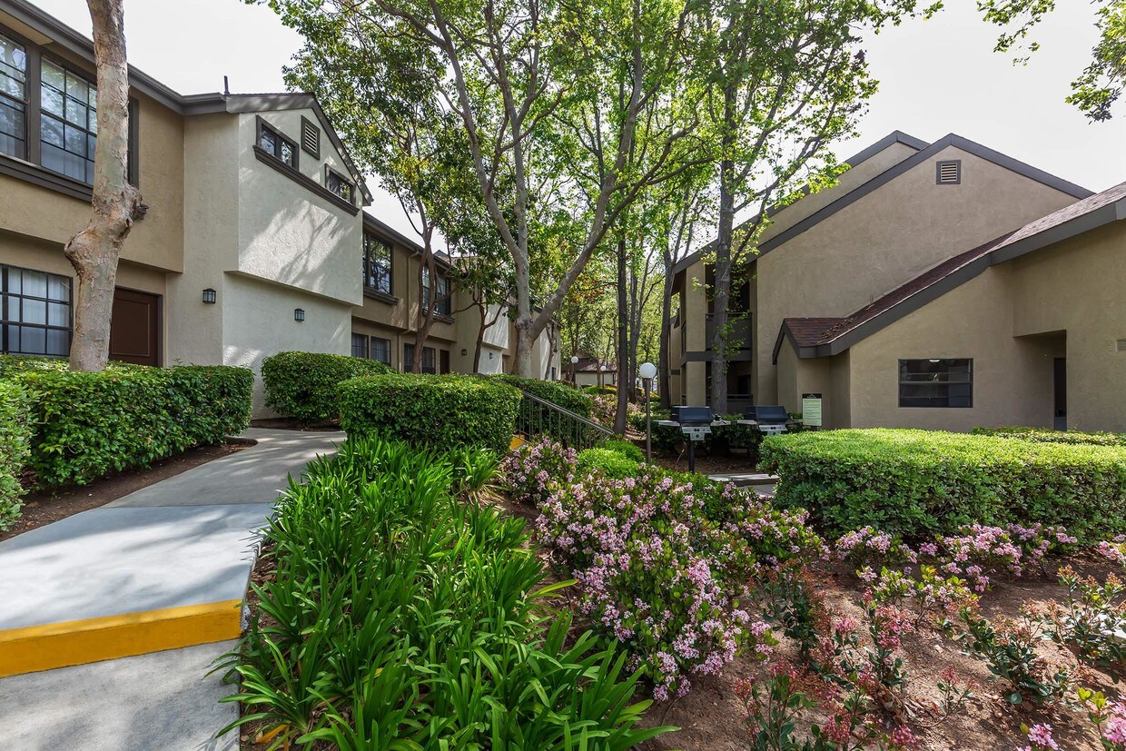 Oak Tree Court Apartment Homes Apartments In Placentia Ca Westside Rentals